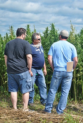 industrial hemp field tour